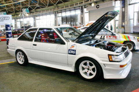 Hachi white.jpg