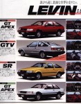 Zenki Levin catalogue, Levin overview